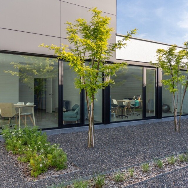 RECTO - Fino RECTO - Fino